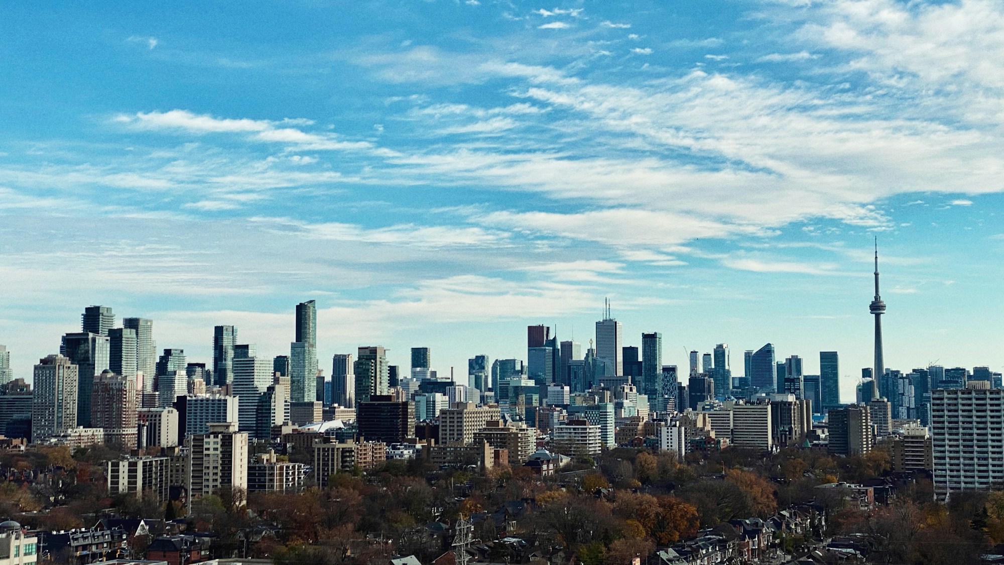 Toronto skyline framed by autumn colours